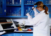 Вчені планують вивести «гіпоалергенну» корову