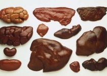 Субпродукти