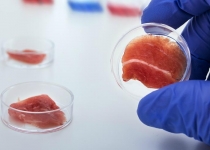 Мясо из пробирки: что ждет человечество