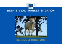 BEEF & VEAL MARKET SITUATION on October 2022 in EU BEEF & VEAL MARKET SITUATION on October 2022 in EU